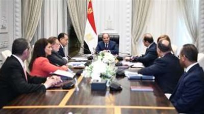 السيسي يشدد على مواصلة بذل أقصى جهد للحد من آثار الأزمة الاقتصادية العالمية