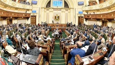 النائبة فاطمة سليم تقدم بطلب إحاطة بشأن تأخر تسليم التابلت لطلاب الصف الأول الثانوي