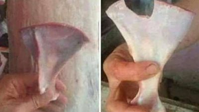 احذروا من عظمة بالأضحية: تستخدم في السحر (صور)