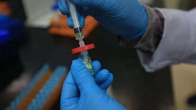 بالصور | الزراعة: 