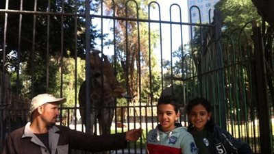 العيد فرحة ..حديقة حيوان الجيزة تستقبل 31 الف زائر