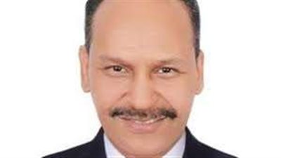 قيادى بـ«مستقبل وطن»: الرئيس السيسي حريص على دعم المشروعات الصغيرة