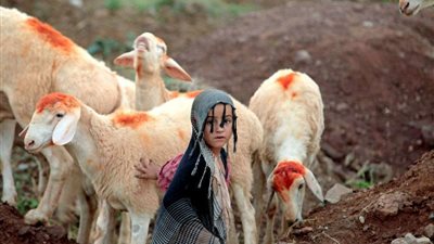 تكحيل عين الأضحية..تعرف على عادات  الاحتفال بعيد الاضحى