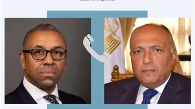 شكري يؤكد لنظيره البريطاني ضرورة إزالة العوائق أمام دخول المساعدات الإنسانية لغزة