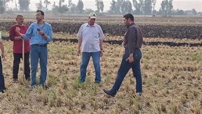 «البيئة» تشدد الرقابة والمتابعة لإحكام السيطرة على نوبات تلوث الهواء الحادة