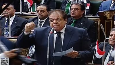 محمد أبو العينين:  الوكالات العالمية تدعم مصدريها في الخروج إلى الأسواق العالمية