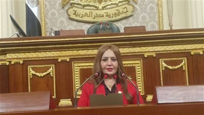 برلمانية: عملية الاستثمار هي الأمل الوحيد الذي نعيش عليه في الفترة القادمة