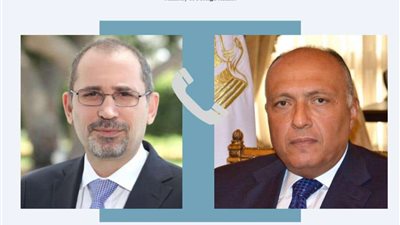 وزير الخارجية يبحث مع نظيريه الأردني والسعودي الأوضاع في غزة