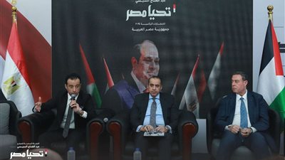 تضامنا مع القضية الفلسطينية.. الحملة الرسمية للمرشح الرئاسي عبد الفتاح السيسي تستقبل السفير الفلسطيني