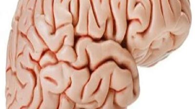 لمرضى ضمور المخ.. كيف يمكنك الحصول على معاش كرامة؟