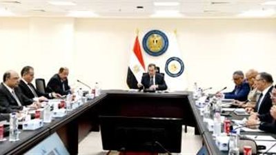 وزير البترول يوجه بضرورة تحديد الأولويات لمواكبة المتغيرات العالمية