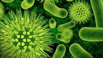 تقاوم الأدوية.. عدوى فطرية مميتة تنتشر في أمريكا