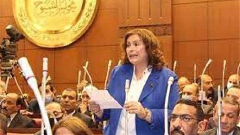 النائبة عايدة نصيف