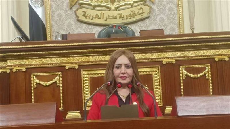 النائبة جيهان البيومي