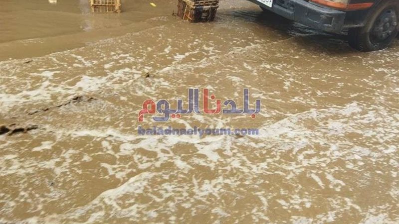 بلدنا اليوم