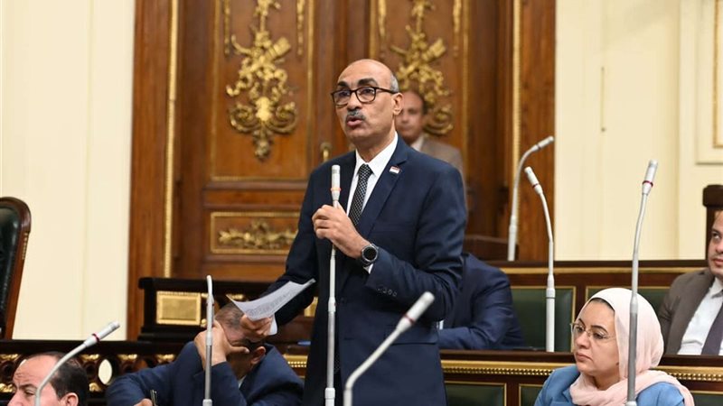 النائب إيهاب منصور