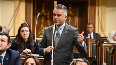 برلماني: مشروع قانون المجلس القومي للطفولة والأمومة يحقق الاستقلالية