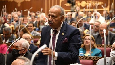 هاني العسال: القيادة السياسية تؤمن بسلاح التنمية كركيزة رئيسية في استقرار سيناء