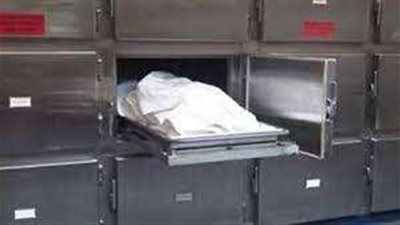 مقتل جزار على يد شقيقين بسلاح أبيض في المنوفية