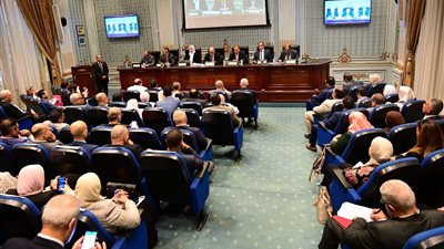 رئيس لجنة التضامن الاجتماعي :ضرورة الاهتمام بملف مواجهة الأزمات والكوارث