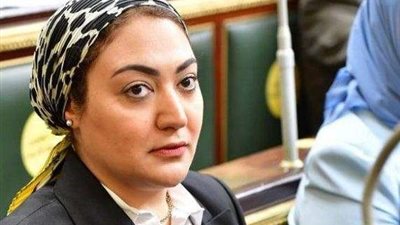 برلمانيه: جميع المصريين يقفون على قلب رجل واحد للحفاظ على الأمن القومي