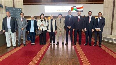 «التنسيقية».. الدولة المصرية تلعب دور تاريخياً في القضية الفلسطينية