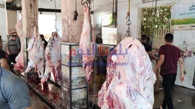 بالتعاون مع 