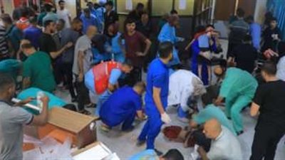 ارتفاع عدد ضحايا العدوان الإسرائيلي على قطاع غزة إلى 8796 شهيدا