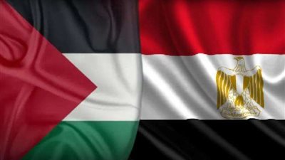 تعرف على الجهود المصرية لدعم القضية الفلسطينية خلال الأزمة الحالية.. فيديو