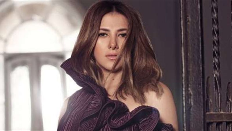 الفنانة دنيا سمير