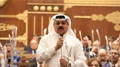 برلمانى: لن يكون هناك حلول إقليمية على حساب سيناء |فيديو