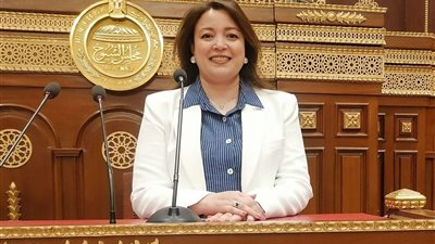 خاص| وكيل شئون خارجية الشيوخ: استقبال مصر لمصابي غزة دليل على نجاح جهود الدبلوماسية المصرية