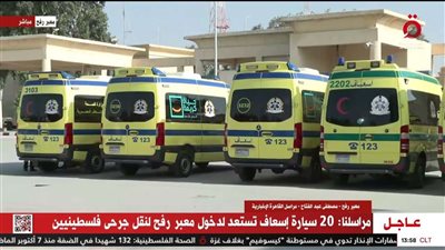 استمرار وصول الدفعات المُتتالية من مزدوجي الجنسيات إلى مصر