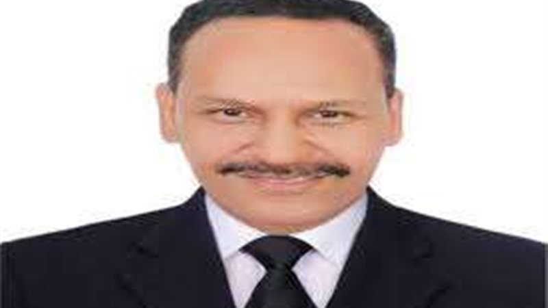 عماد نجيب