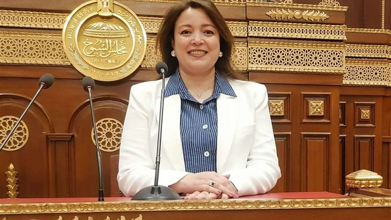النائبة سماء سليمان