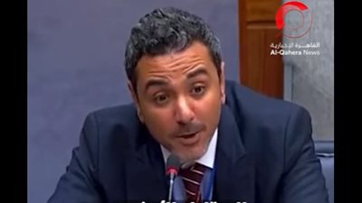 شاهد| كلمة عضو البعثة المصرية في الأمم المتحدة