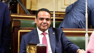 برلماني: مشاركة وزير الخارجية بالاجتماع الوزاري بالأردن يستهدف توفير الحماية للفلسطينيين