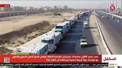 «القاهرة الإخبارية»: تجهيز 50 شاحنة مساعدات تمهيدًا لنقلها إلى غزة