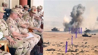 رئيس أركان حرب القوات المسلحة يشهد تنفيذ الجيش الثانى الميدانى لأحد الأنشطة التدريبية