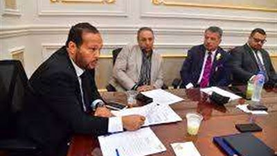 مؤمن معاذ: نثمن موقف مجلس الشيوخ لدعم القضية الفلسطينية