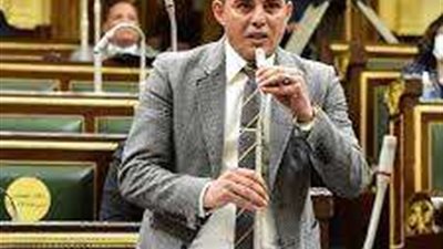 «اقتصادية النواب»: تحركات مصرية دولية لدعم القضية الفلسطينية