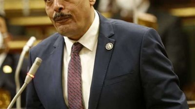 برلماني: ما يحدث في غزة مجزرة بشرية ودموية