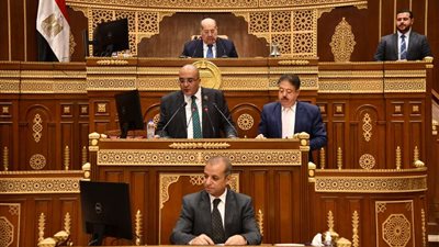 تعديلات قانون الطفل أمام تشريعية النواب لتشتعديلات قانون الطفل أمام «تشريعية النواب» لتشديد عقوبة البيانات غير الصحيحةديد عقوبة البيانات غير الصحيحة