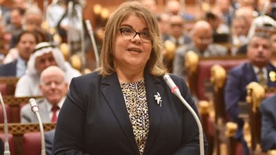 برلمانية: مصر في أمسِ الحاجة لتعظيم الاستفادة من موارد للطاقة المتجددة