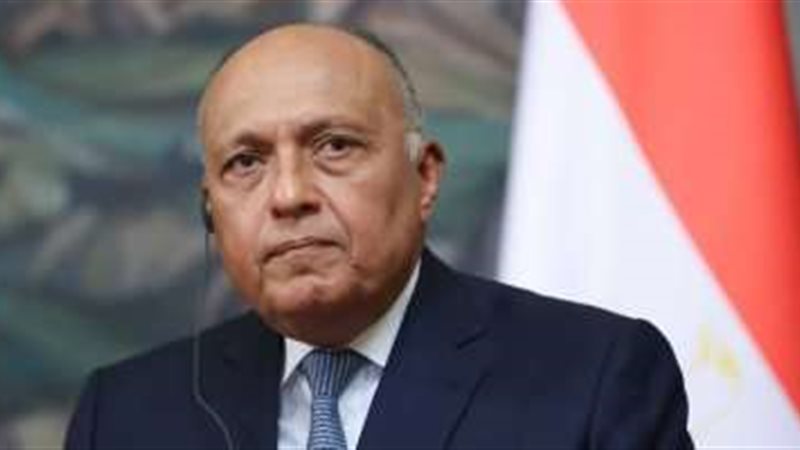 سامح شكري وزير الخارجية