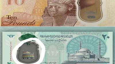 تحمل ألوان علم 