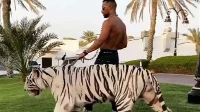 فنان إيطالي يعرض محمد رمضان لموجة انتقادات حادة (تفاصيل)