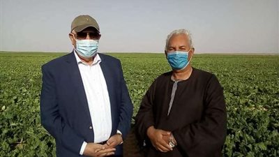 نقيب الفلاحين يناشد الحكومة بعدم عرقلة اعمال 