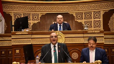 رئيس مجلس الشيوخ يرفع أعمال الجلسة العامة ويقرر عقدها غداً