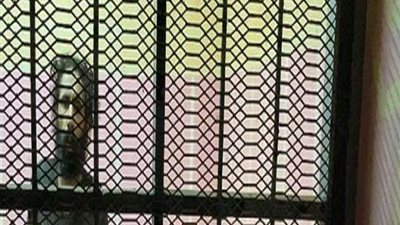 تجديد حبس المتهم بقتل شقيقه بالتجمع الخامس